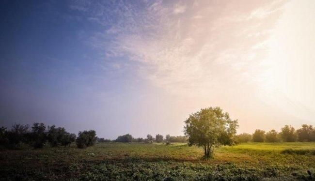 الطقس: أجواء ربيعية حتى نهاية الأسبوع
