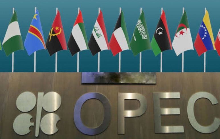 روسيا: انسحاب الإمارات من منظمة أوبك قد يؤدي إلى انخفاض أسعار النفط