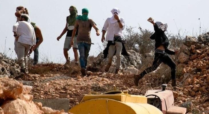 3 إصابات جراء اعتداء المستوطنين عليهم في الأغوار الشمالية