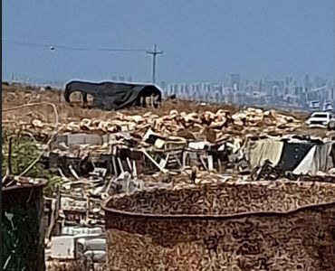 مستعمرون يقيمون بؤرة استعمارية جديدة غرب دير بلوط