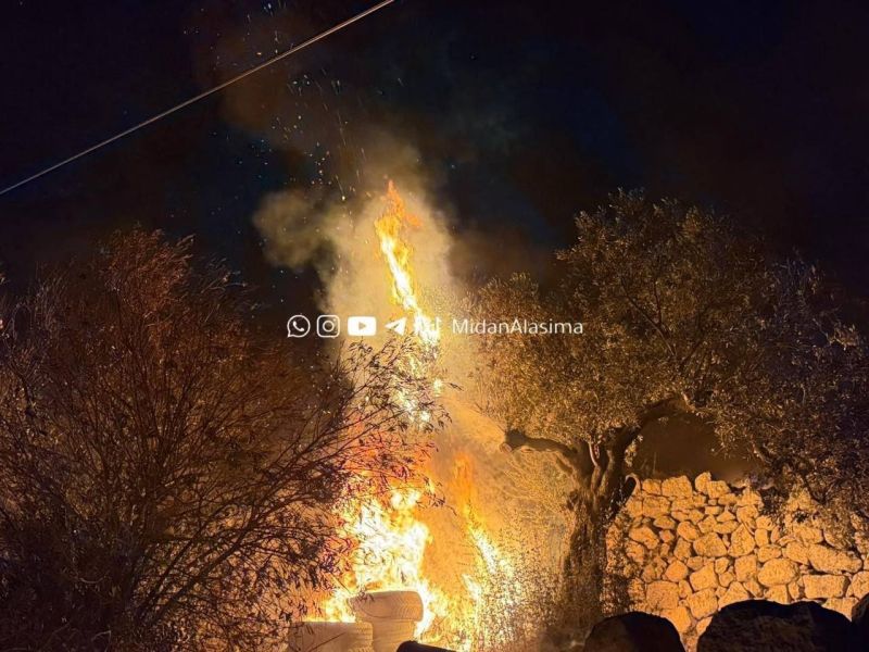 مستوطنون يحرقون أراض زراعية وعشرات أشجار الزيتون شمال غرب القدس