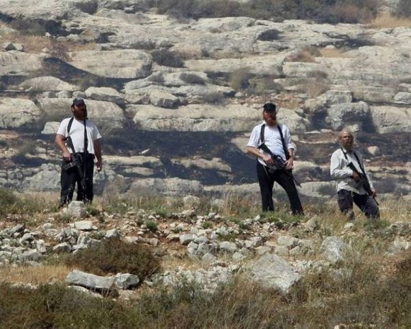 مستوطنون يعتدون على مواطنين وممتلكاتهم في الأغوار الشمالية