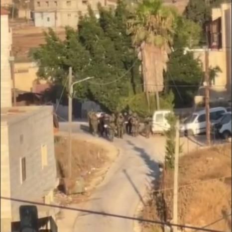 اعتقال 8 مواطنين من الظاهرية جنوب الخليل