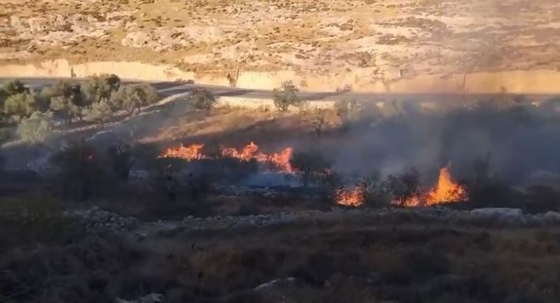 هيئة الجدار: المستعمرون أشعلوا 799 حريقا في الضفة حتى تموز الماضي
