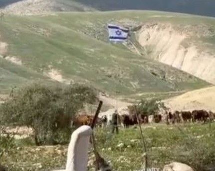 مستوطنون يرفعون علم الاحتلال في حرم مسكن عائلة بالأغوار الشمالية