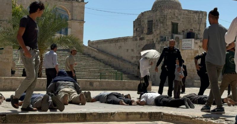 مصر تحذر من تهويد القدس: سياسات الاحتلال ستفجر الأوضاع ولن تحقق الأمن