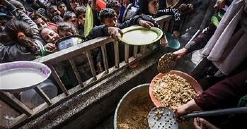 الحويطلي: القيود و وتراجع القدرة الشرائية يفاقمان أزمة التجويع في غزة