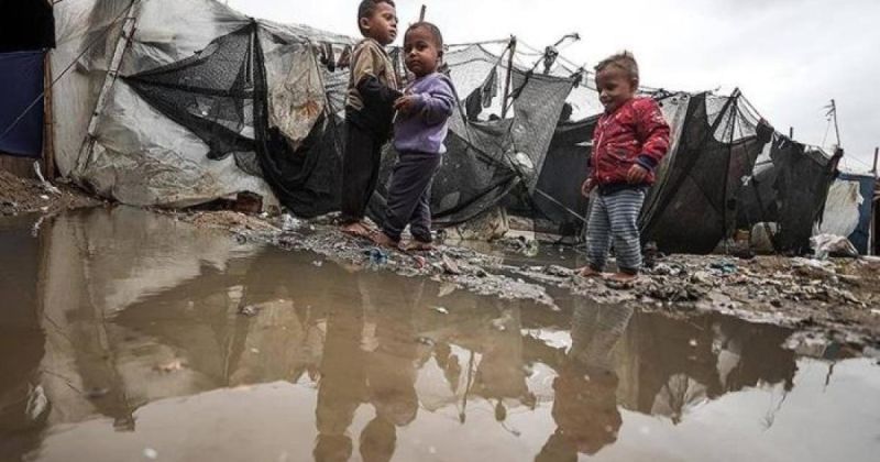 الإعلامي الحكومي يطالب بكسر "الفيتو الإسرائيلي" لإنقاذ مليوني نازح في غزة