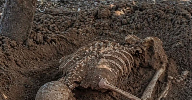 “ساجدًا حتى النهاية”.. حكاية رجل كتب قبره بيديه في غزة