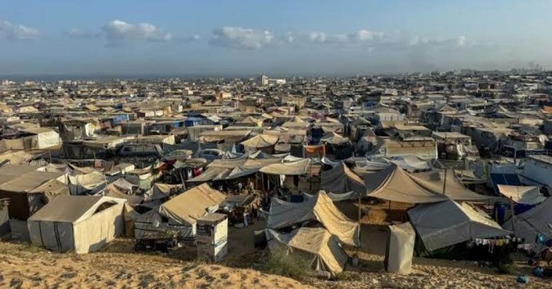 البعوض يطارد النازحين في غزة.. الخيام تتحول إلى بؤر للأمراض والحشرات!