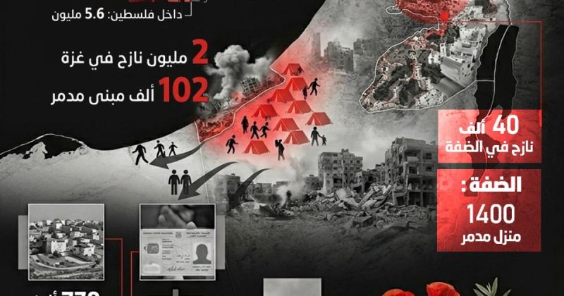 انفوجرافيك: النكبة 78 | فلسطين بالأرقام