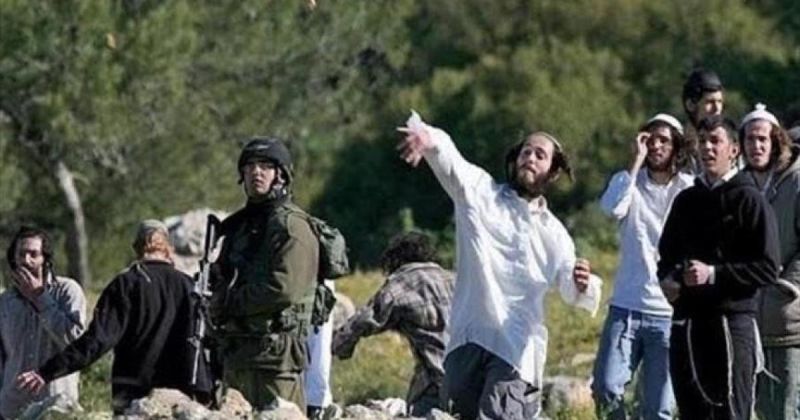 مستوطنون يهاجمون عبوين وتصعيد عسكري شمال رام الله