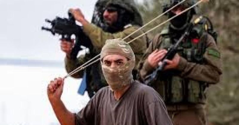 مستوطن مسلح يهدد أطفالاً في ملعب بمسافر يطا