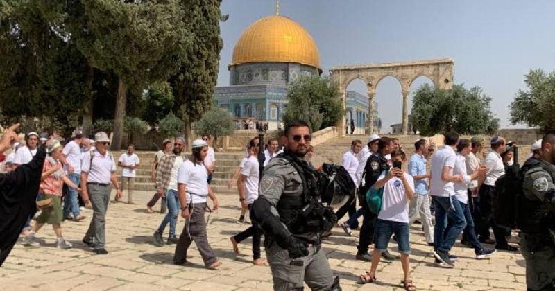 مستوطنون يقتحمون الأقصى ويدّون طقوسًا تلمودية بحماية الاحتلال