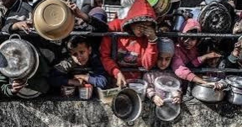 " التنمية الاجتماعية" تحذر من اتساع المجاعة في غزة وتدهور الأوضاع الإنسانية