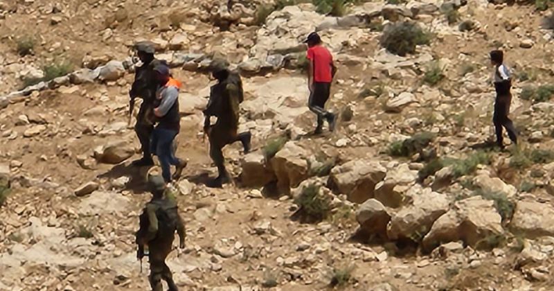 تصعيد استيطاني واسع في الضفة.. هجمات منظمة تستهدف الفلسطينيين وممتلكاتهم
