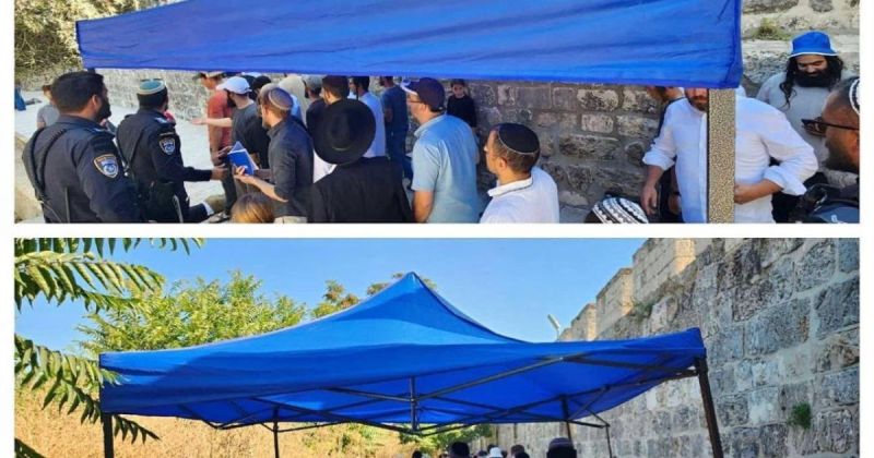 حركة المجاهدين: نصب خيمة داخل المسجد الأقصى سابقة خطيرة تهدف لفرض وقائع تهويدية