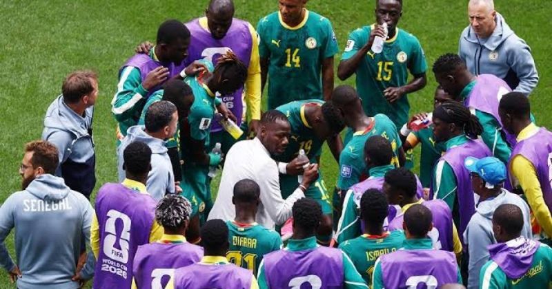 رئيس الاتحاد السنغالي يحمّل طبيب نساء وولادة الإخفاق في كأس العالم