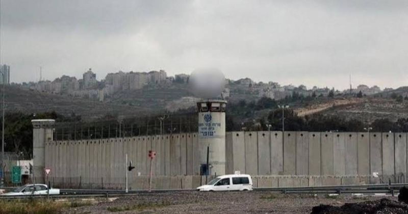 شهادة صادمة لأسيرة فلسطينية: تحرش وتهديدات وتفتيش عارٍ داخل سجن "الدامون"