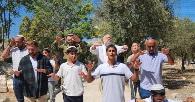 1403 مستوطنين يقتحمون المسجد الأقصى خلال أسبوع تحت حماية شرطة الاحتلال