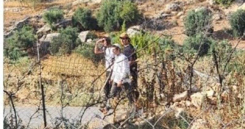 إصابة مستوطن بعد استيلاء فلسطيني على سلاحه جنوب الخليل