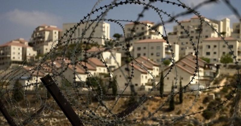 15 نشاطًا استيطانيًا في قلقيلية منذ مطلع 2026.. وبؤرة جديدة شرق حجة
