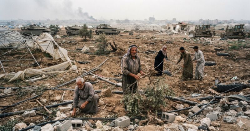 الزراعة : دمار غير مسبوق أصاب القطاع الزراعي في غزة