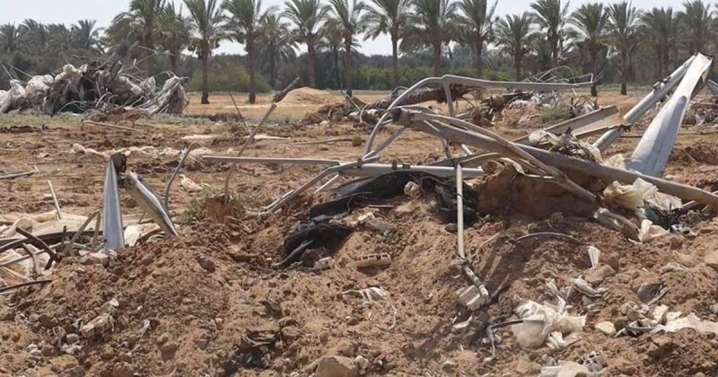 الزراعة: خسائر القطاع الزراعي في غزة تتجاوز 3.49 مليار دولار