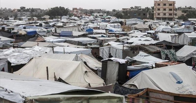 قيادي بحزب العدالة المغربي: المغارية يتعلمون من صمود الفلسطينيين