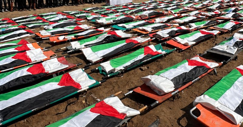 بعد 965 يومًا تحت الركام.. 112 شهيدًا يخرجون من مقبرة حي الصبرة الجماعية