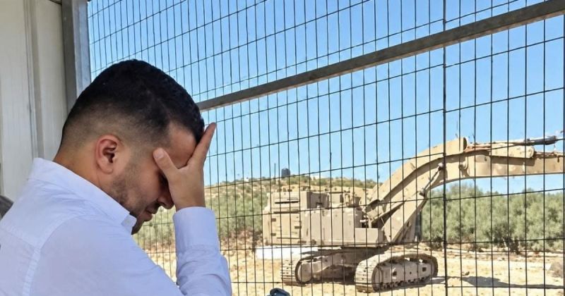 قد تكون بالنسبة لك شجرة.. لكنها حياة فلسطيني كاملة