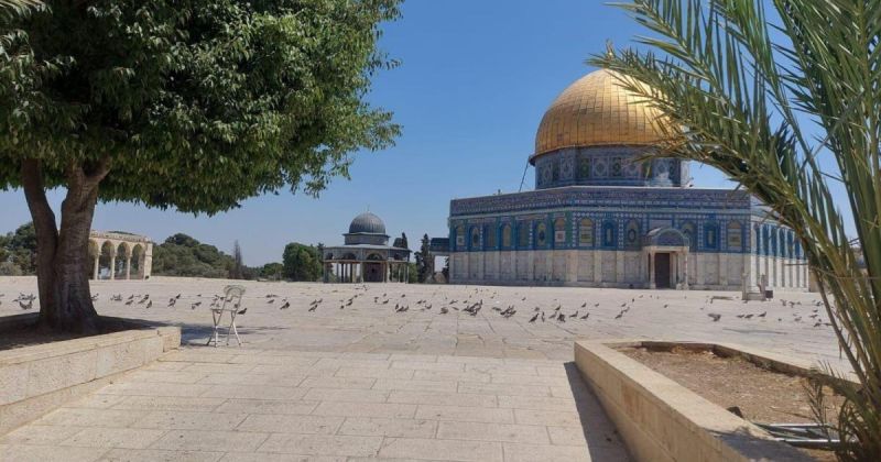 حماس: جرائم الاحتلال المتصاعدة بالقدس لن تقابل إلا بمزيد من الصمود والمواجهة