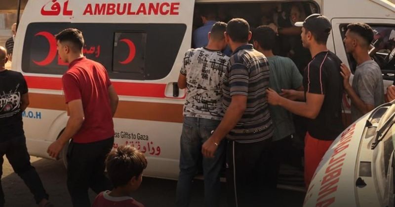 الوحيدي: وتيرة القتل في غزة تتصاعد ومتوسط الشهداء يرتفع إلى 10 يوميًا