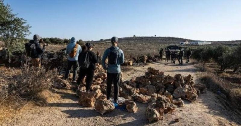 مستوطنون يقيمون بؤرتين جديدتين ويسرقون أغنامًا جنوب الخليل