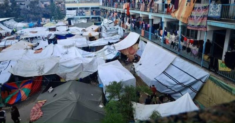 الهجرة الدولية: مليونا فلسطيني في غزة بحاجة إلى مساعدات إيواء