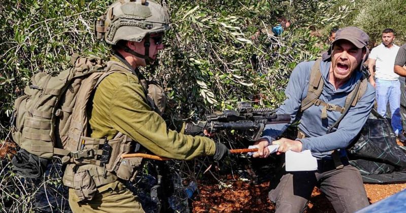 إليشع يارد.. مستوطن يقود حملات سرقة الزيتون الممنهجة في الضفة الغربية