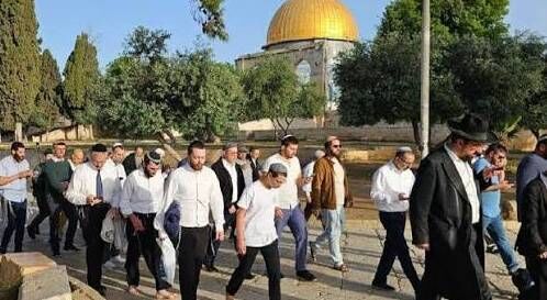 149 مستوطناً يقتحمون المسجد الأقصى وسط حماية أمنية مشددة