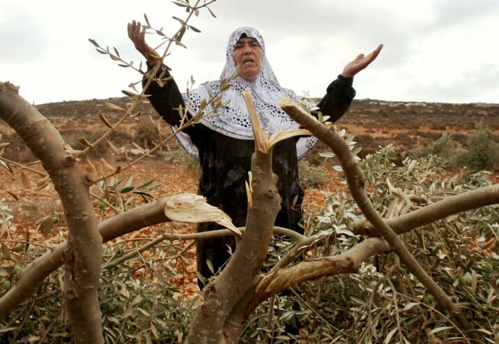 تقرير رسمي: 2051 اعتداءً إسرائيلياً ضد الفلسطينيين وممتلكاتهم خلال سبتمبر