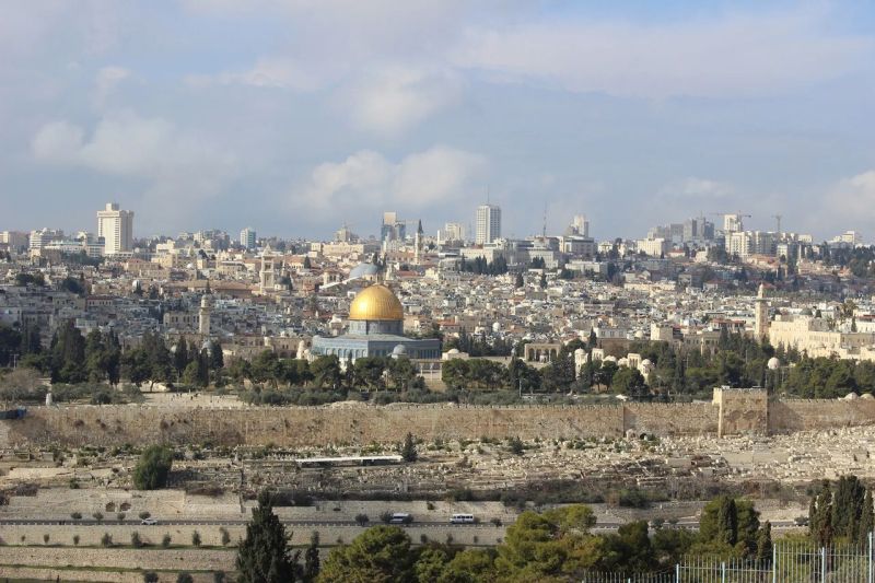 زيتون المسجد الأقصى.. رمزية الصمود وإغاثة الفقراء في مواجهة قيود الاحتلال