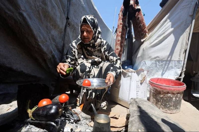 تحذيرات دولية: ثلثا سكان غزة يواجهون خطر الجوع الشديد بنهاية العام