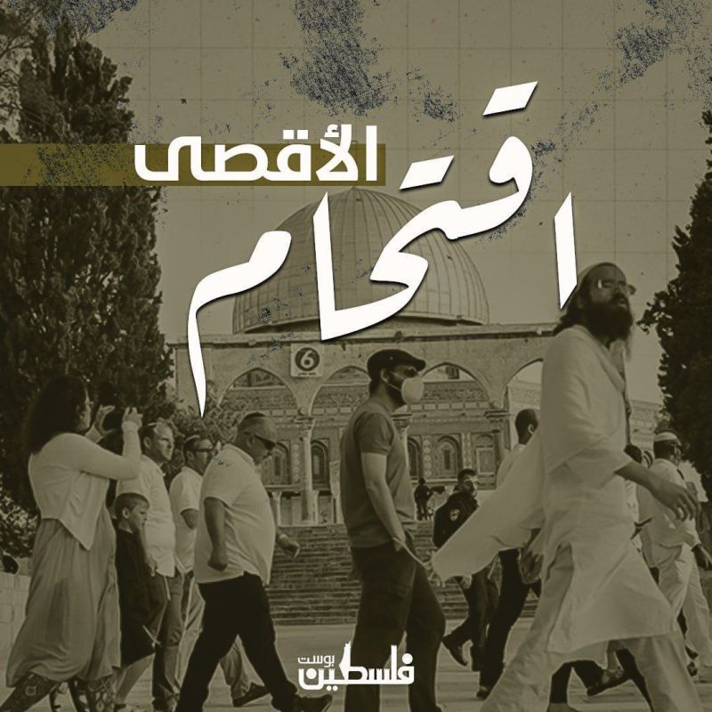 محافظة القدس: مخططات جماعات "الهيكل" لرفع علم الاحتلال في الأقصى عدوان خطير