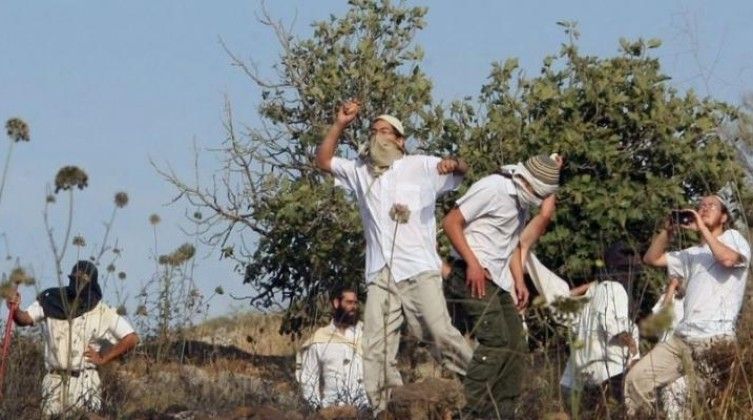 شهيدان ومصابون في هجوم للمستوطنين على مدرسة الذكور بالمغير شرق رام الله