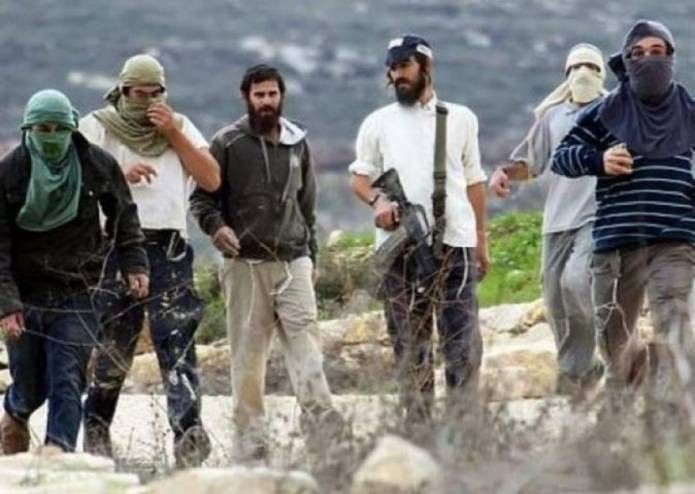 مستوطنون يختطفون مسنًا شرق قلقيلية