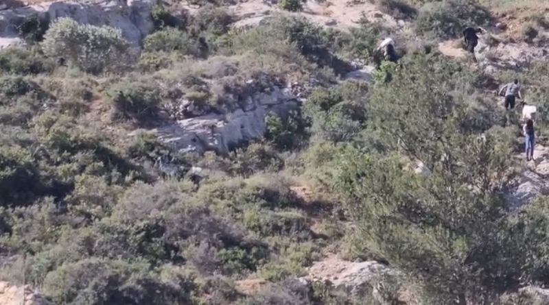 مستوطنون يهاجمون سنجل وجلجليا  شمال رام الله ويسرقون أغناما