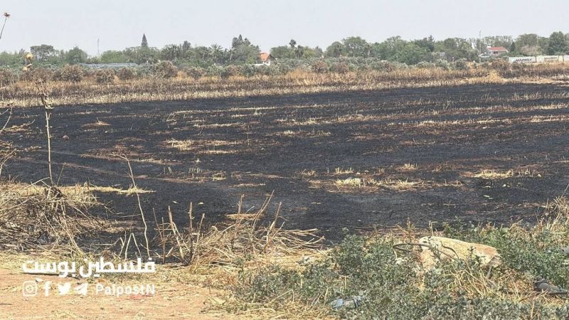 جنين: الاحتلال يحرق نحو 13 دونماً من الأراضي الزراعية في السيلة الحارثية