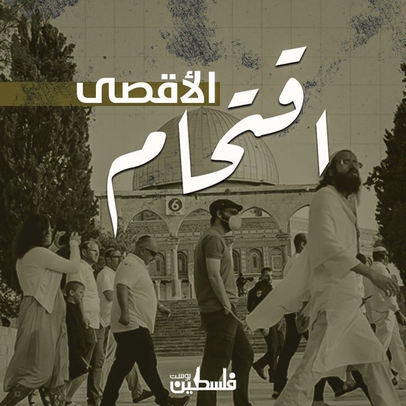 مستوطنون يواصلون اقتحام المسجد الأقصى