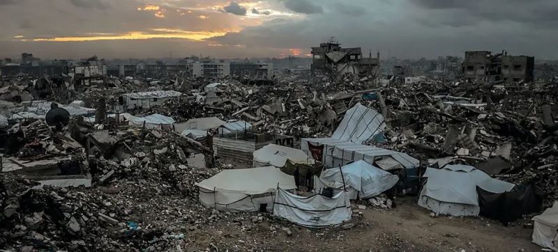 أفاعي سامة تهدد حياة النازحين جنوب غرب غزة وسط تدهور الأوضاع الإنسانية