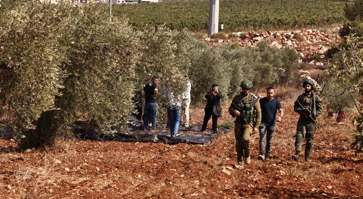 مستوطنون يعتدون على مزارعين وأراضٍ زراعية في رام الله وبيت لحم