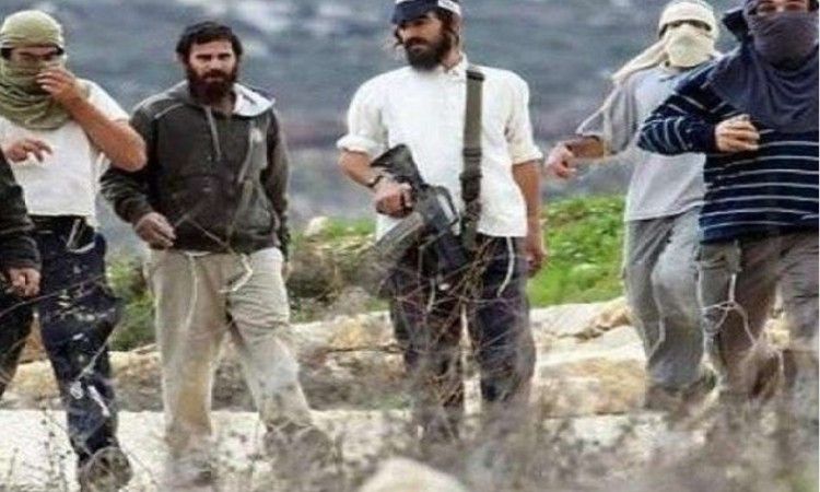 مستوطنون يعتدون على شبان جنوب شرق طوباس وقوات الاحتلال تحتجزهم