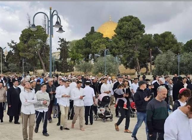 540 انتهاكًا للاحتلال والمستوطنين في القدس خلال يونيو